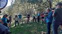 Voci nel Bosco (9)